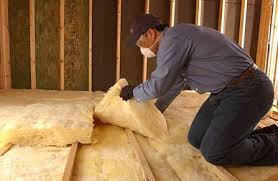 Best Insulation for New Construction  in Ayden, NC